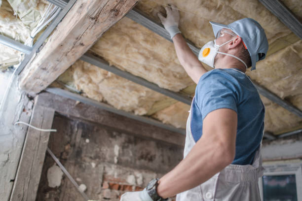 Best Insulation Installation Services in Norridge, IL