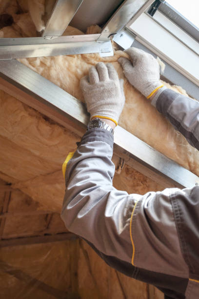 Best Residential Insulation in Norridge, IL